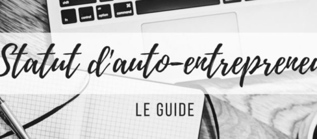 l'auto-entrepreneur