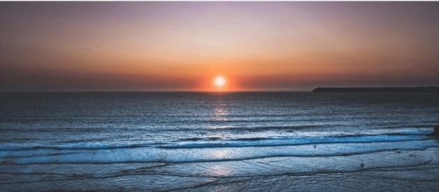 objet social de l'entreprise