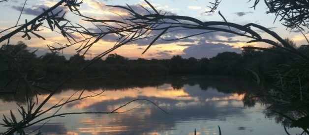 Modification de l'objet social