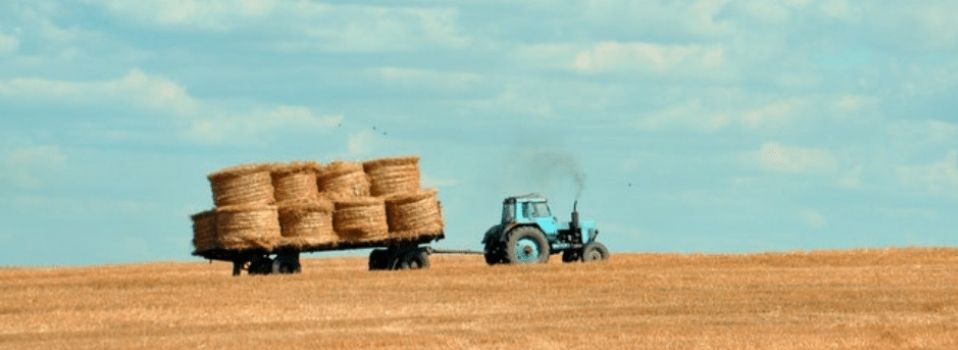 Statut EARL : tout sur l'Exploitation Agricole à Responsabilité Limitée