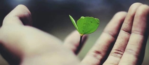 Compte courant créditeur