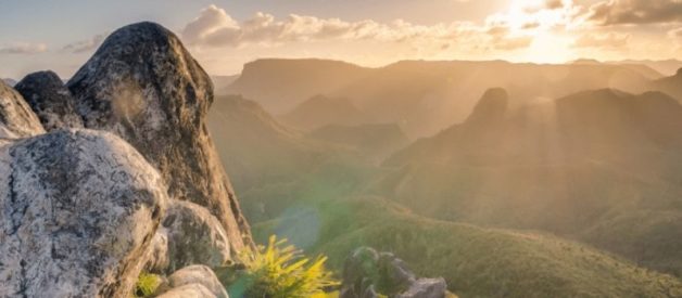 augmentation de capital par incorporation de réserves