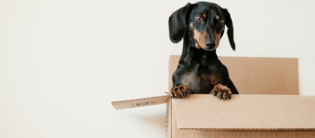 changement d'adresse associé d'une SCI