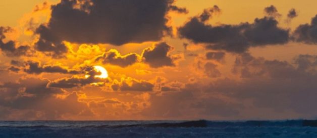 procédure de liquidation judiciaire d'une société