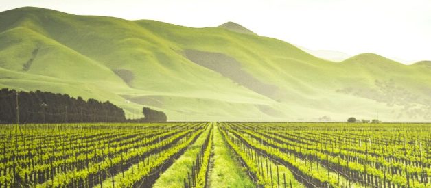 société civile d'exploitation agricole