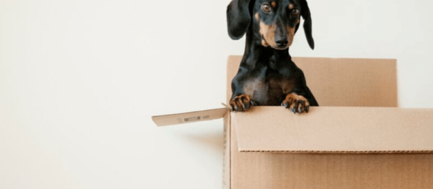 Changer d'adresse INSEE