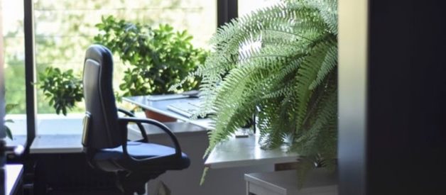 créer une société de domiciliation