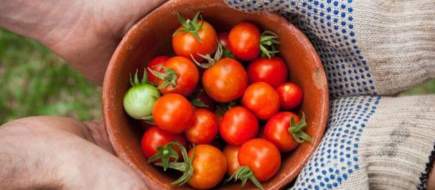 actions de préférence