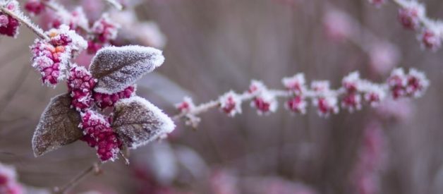 Décès d'un associé dans une SCI