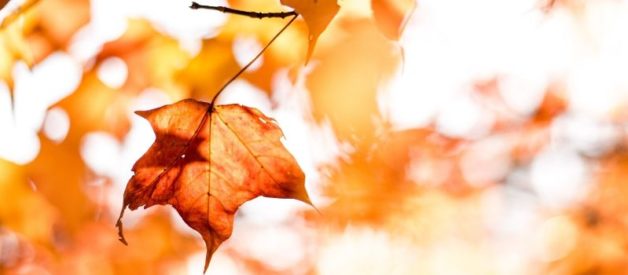 décès d'un associé dans une SARL