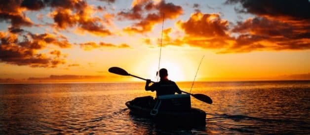 poissonnier ambulant