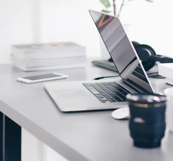 legalvision netlinking TPE